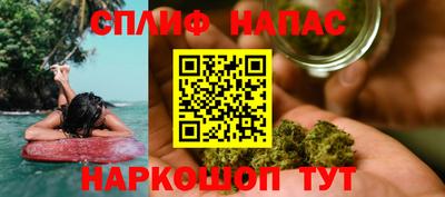 МДПВ Сланцы