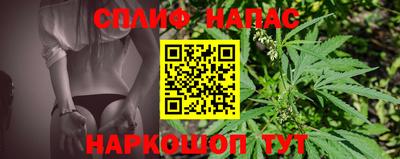 крисы Славгород