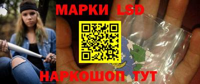 крисы Славгород