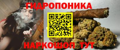 МДПВ Сланцы