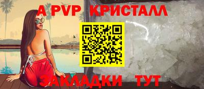 крисы Славгород